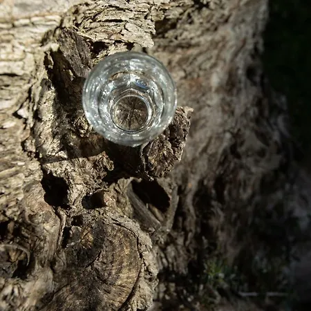 Aegean Panorama Akhladherí