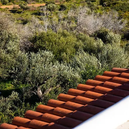 Apartment Aegean Panorama Akhladherí