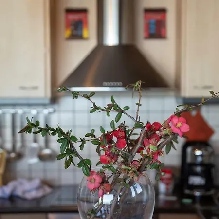 Aegean Panorama Apartment *