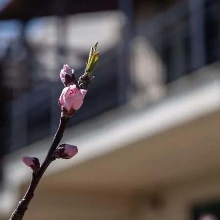 דירה Aegean Panorama